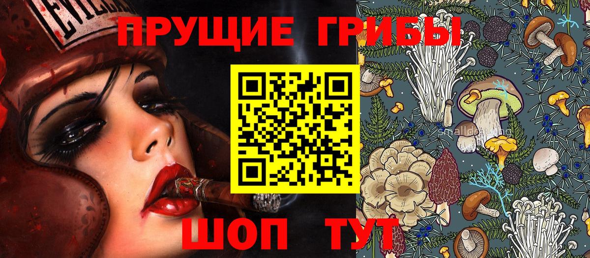 Сорочинск  Псилоцибиновые грибы Magic Shrooms  Вход с VPN 